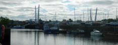 DSCN3290.JPG