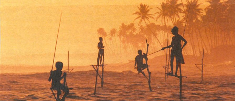 Stilt Fishermen at Hikkaduwa