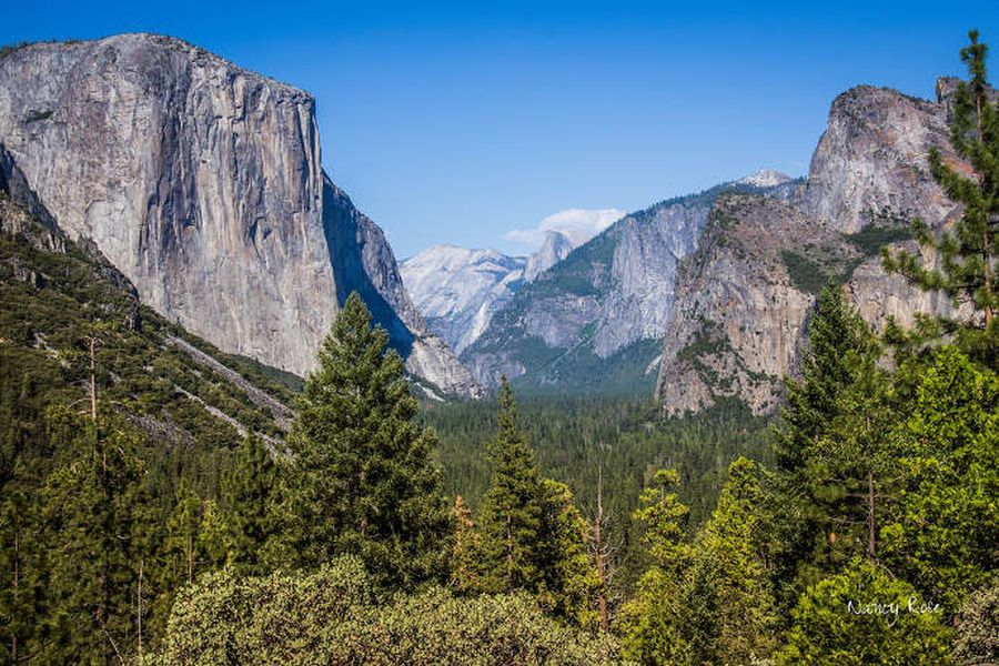 Yosemite, the Incomparable Valley